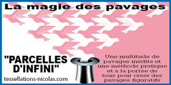 Logo site Parcelle d'Infini
