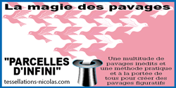 Parcelle d'Infini site